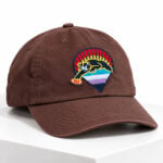 Big Cat Bears Under the Stars Hat