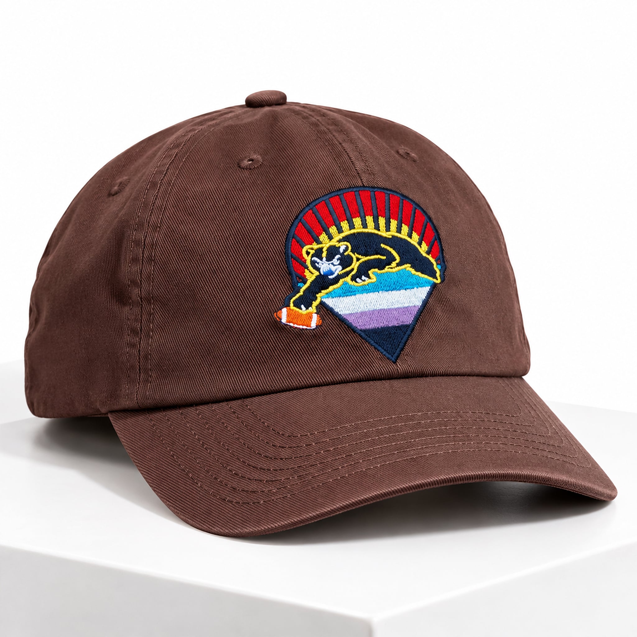 Big Cat Bears Under the Stars Hat 1 Big Cat Bears Under the Stars Hat 1