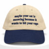 Maybe Your Cat Is Meowing Because It Wants To Hit Your Vape Hat 9 Maybe Your Cat Is Meowing Because It Wants To Hit Your Vape Hat 1