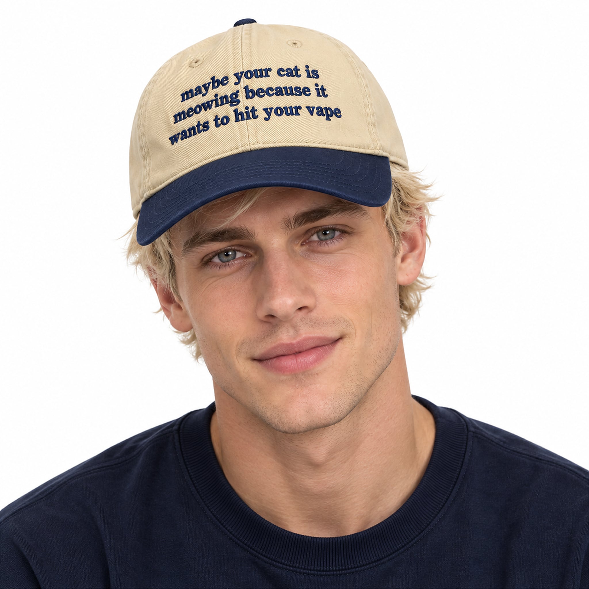 Maybe Your Cat Is Meowing Because It Wants To Hit Your Vape Hat 2 Maybe Your Cat Is Meowing Because It Wants To Hit Your Vape Hat 2
