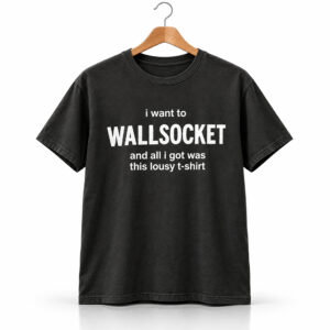I Want To Wallsocket And All I Got Was This Lousy T shirt Shirt 1